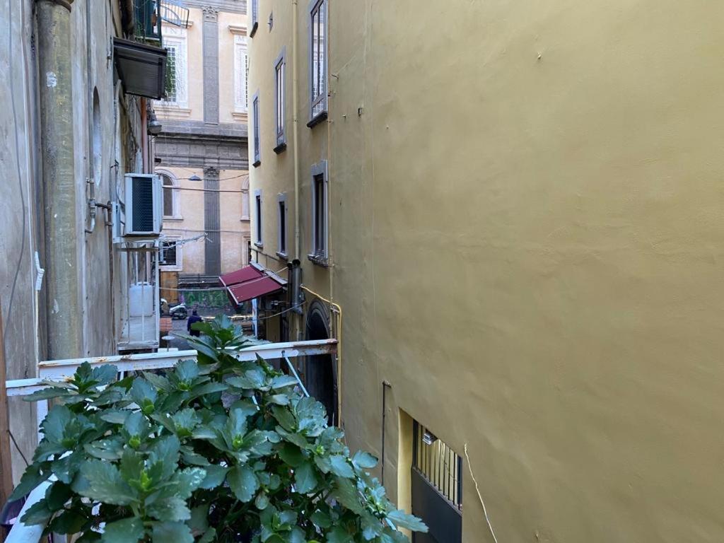 O' Presepe 24 Villa Napoli Bagian luar foto